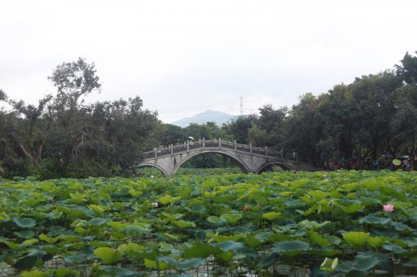 洪湖