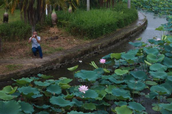 洪湖