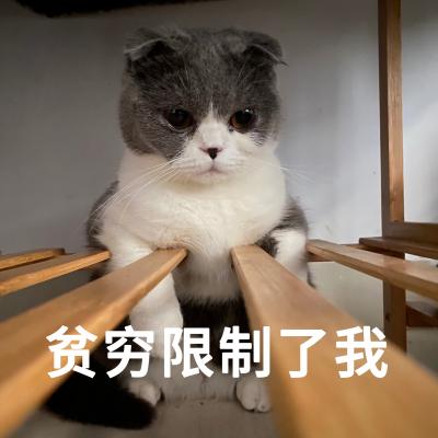 表情包