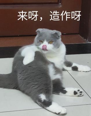 表情包