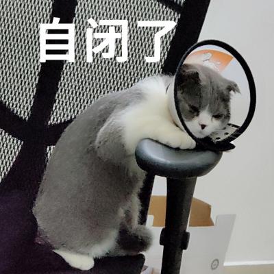 表情包