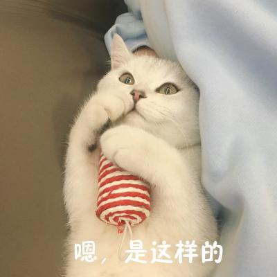 表情包
