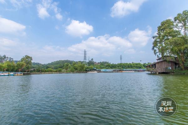 观澜山水田园