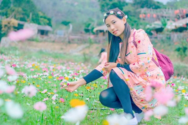 美丽乡村百花节