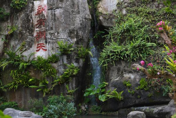 仙湖花展
