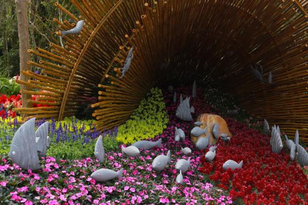 仙湖花展