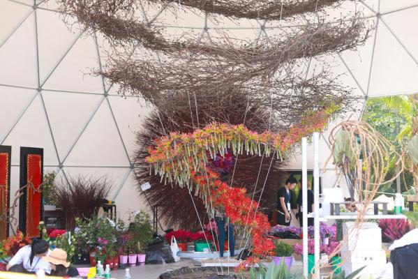仙湖花展