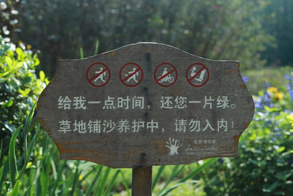 仙湖花展