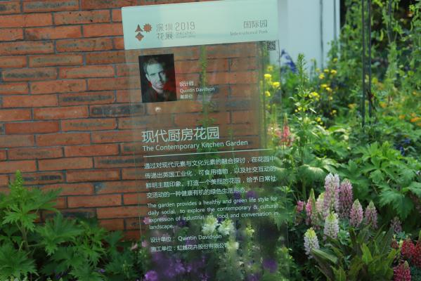 仙湖花展