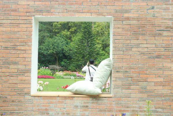 仙湖花展