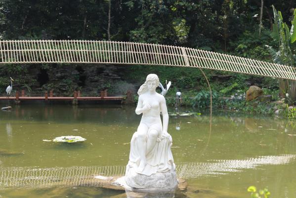 仙湖花展