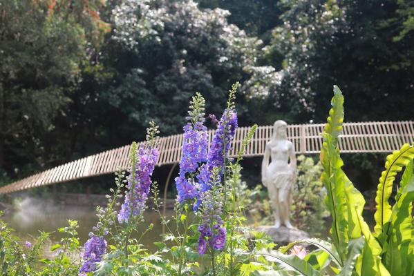 仙湖花展