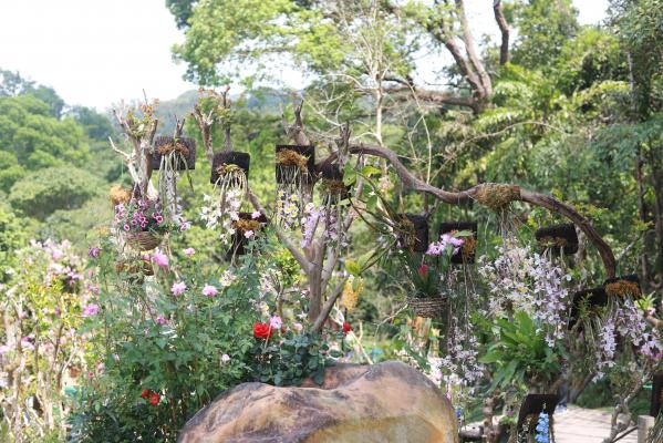 仙湖花展