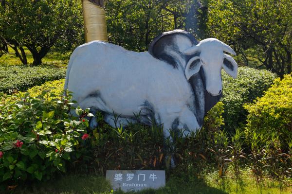 光明农场大观园