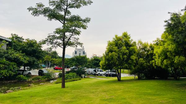 仙桐体育公园