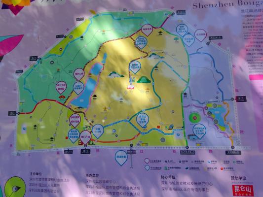 2024莲花山簕杜鹃花展