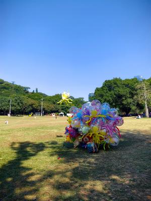 2024莲花山勒杜鹃展