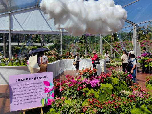 2024莲花山勒杜鹃展