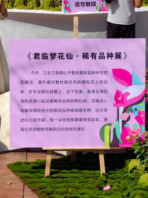 2024莲花山勒杜鹃展