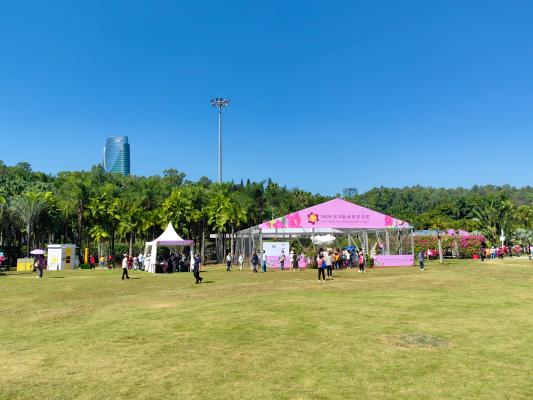 2024莲花山勒杜鹃展