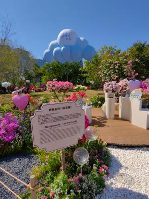 2024莲花山勒杜鹃展