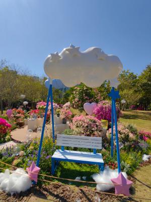 2024莲花山勒杜鹃展