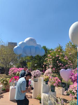2024莲花山勒杜鹃展