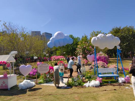 2024莲花山勒杜鹃展