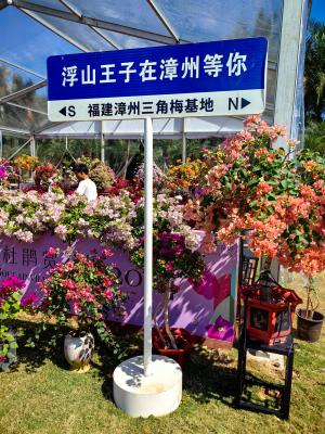 2024莲花山勒杜鹃展