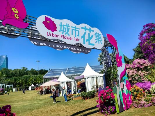 2024莲花山勒杜鹃展