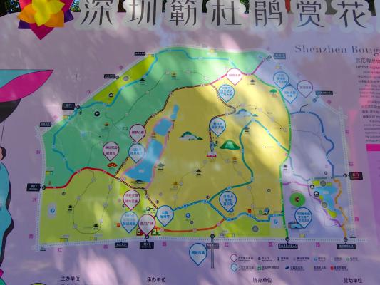 2024莲花山勒杜鹃展