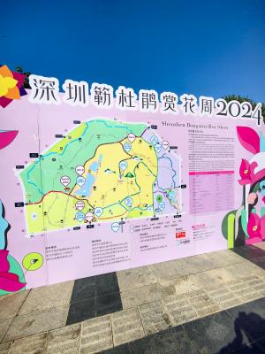 2024莲花山簕杜鹃花展
