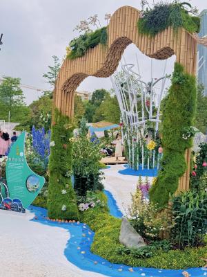 2025粤港澳大湾区花展