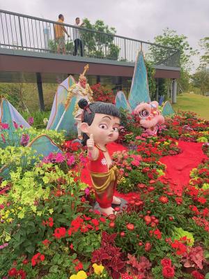 2025粤港澳大湾区花展