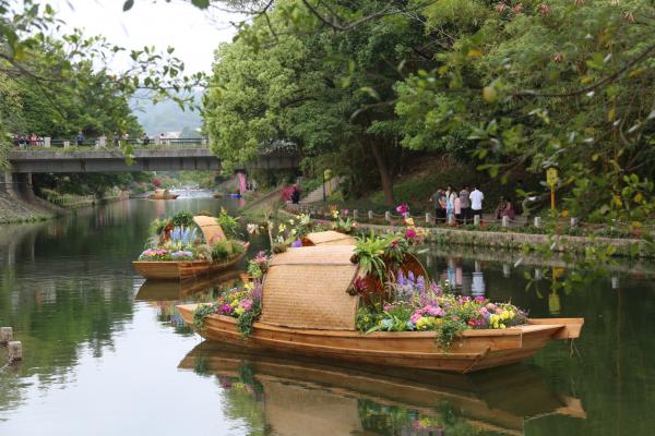 2025粤港澳大湾区花展