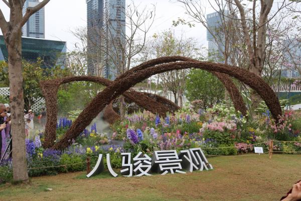 2025粤港澳大湾区花展
