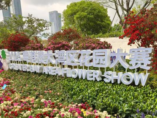 2025粤港澳大湾区花展