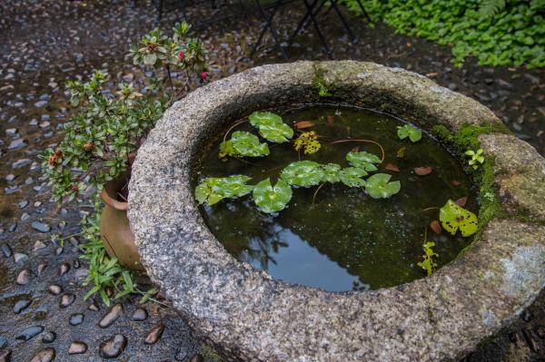 大芬油画村