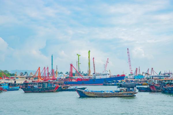 深圳湾滨海休闲带西段