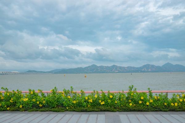 深圳湾滨海休闲带西段