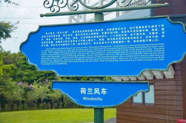 荷兰花卉小镇