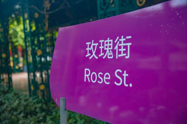 荷兰花卉小镇
