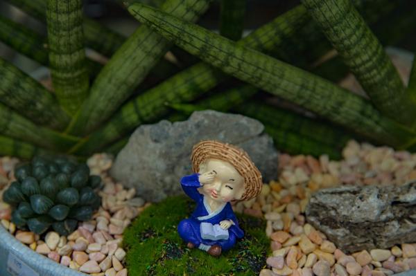 荷兰花卉小镇