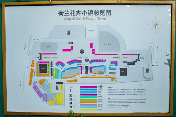 荷兰花卉小镇