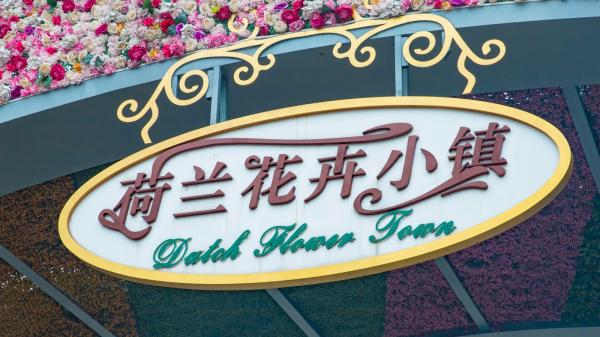 荷兰花卉小镇