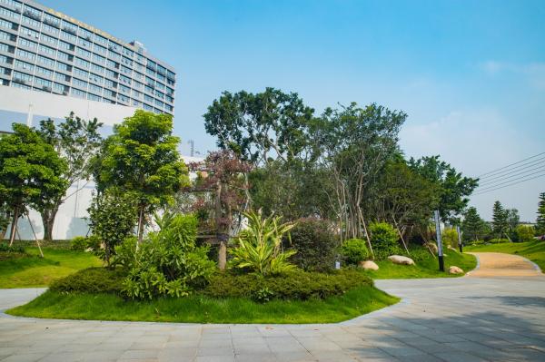 深圳万丰湖湿地公园