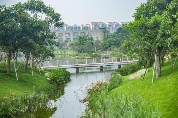 深圳万丰湖湿地公园