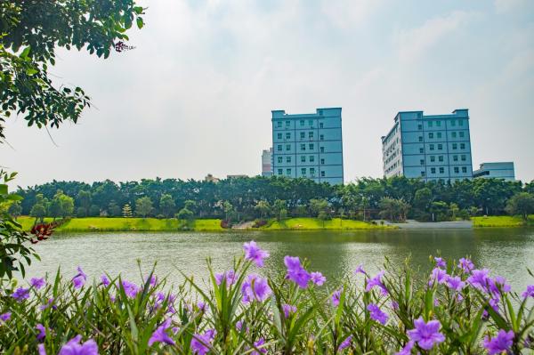 深圳万丰湖湿地公园