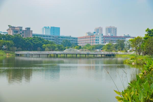 深圳万丰湖湿地公园