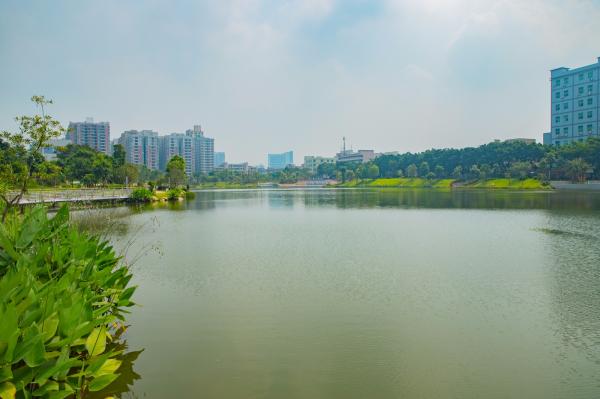 深圳万丰湖湿地公园